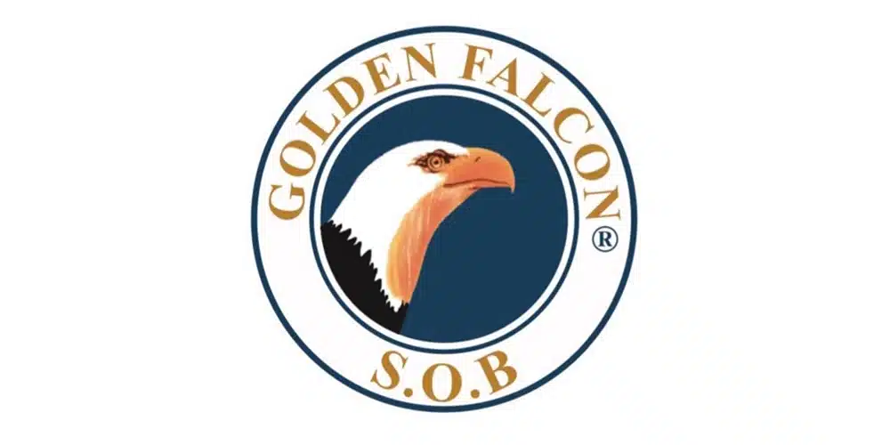 GoldenFalcon