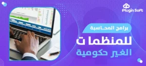 برامج المحاسبة للمنظمات غير الحكومية