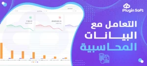 التعامل مع البيانات المحاسبية